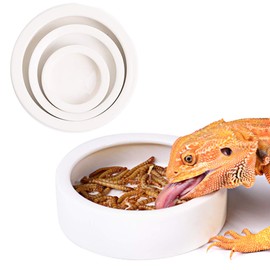 Reptile Food Water Dish Worm Bowl Mealworm Feed Feeder Mini Reptile Food Bowl Ceramics Made (L)