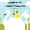 Clipper Tea Organic Lemon & Ginger 20 Tea Bags, Herbal