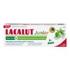 LACALUT Junior Toothpaste 6+ Years. Daily Hygiene Protection Caries. With