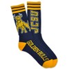 Johnson C. Smith University Socks