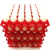 Rite Farm Products 6 RITE FARM PRODUCTS 30 EGG PLASTIC