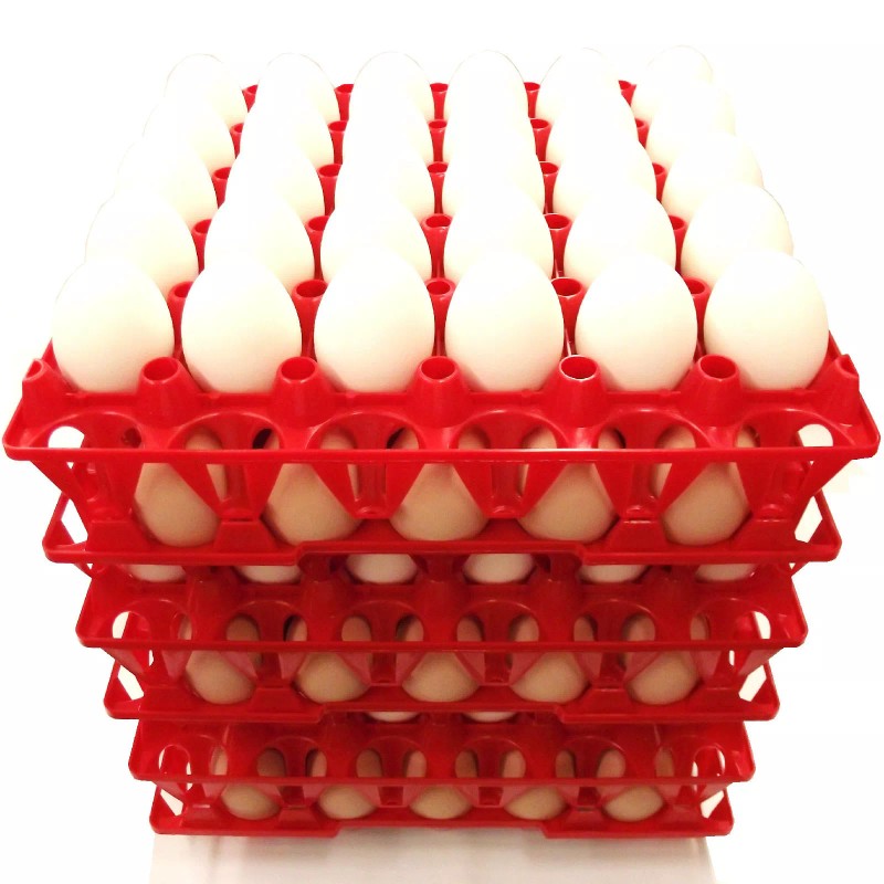 Rite Farm Products 6 RITE FARM PRODUCTS 30 EGG PLASTIC