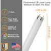 Diodesy- T8 Fluorescent Tube Light Bulb 24 Inch 17 Watts