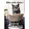 Blechschild Humor Aluminium 20x30cm - auf der Toilette mit Zeitung
