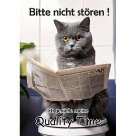Blechschild Humor Aluminium 20x30cm - auf der Toilette mit Zeitung Katze Britisch Kurzhaar 72