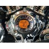 Indian Motorcycle, 111 Engine, Cam Cover Headdress Decal, Sticker, Emblem