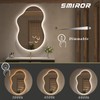 SMIROR Asymmetrical Backlit Bathroom Mirror with Lights 24 x 36,