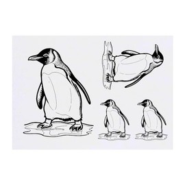 4 x 'Penguin Sliding On Ice' Temporary Tattoos - Water Resistant, Skin-Safe, Non-Toxic Transfers, Mixed Sizes (TO00069488)