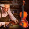 Violin For Beginners, CVN-300 Solidwood Ebony Fitted Violin with Strings,