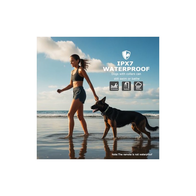 Heaflex Dog Training Collar Accessory, Replacement Dog Shock Collar Receiver,