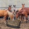 MIYABALA 2 PCS Hay Bags for Horses,Slow Feeder Hay Bag