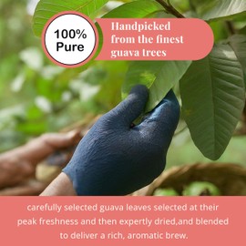 Premium Guava Leaf Tea, 75 TeaBags, 100% Natural Guava Leaves Tea, Te De Hojas de Guayaba, Caffeine Free, Sugar Free, Non-GMO. by Akshit