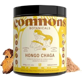 COMMONS Hongos Adaptógenos Hongo Chaga Extracto Puro en Polvo