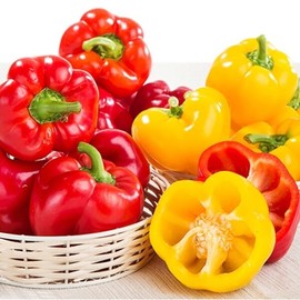 Ivetta paprika (economical type) 3kg / 이베따 파프리카(실속형) 3kg