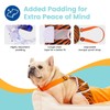Avont 3 Pack Frenchie Dog Diapers Female, Washable Reusable Girl