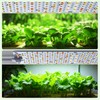 SDOVUERC Full Spectrum Grow Lights, 24W Plant Grow Lights for