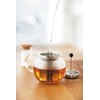 Bodum Assam Tea Press with Stainless Steel Filter, 17-Ounce