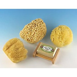 SeaSationals™ Natural Sea Sponge Sampler (4"-5" Kids Bath Sized Sponges)