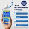 TN Dickinson's Witch Hazel Natural Astringent, 16 oz (Pack of