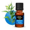 ORIGINAL NATURE'S OILS Kit de 5 aceites Esenciales de Eucalipto