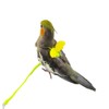 Cyblinia Adjustable Bird Harness Leash Parrot Flying Rope Straps Outdoor