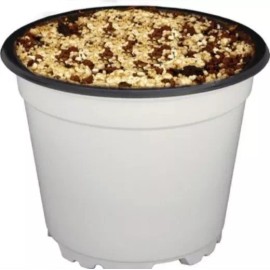 Teku 30 Macetas 4 Pulgadas En Polipropileno Flexible Carnvioras