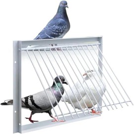 11.8in/30cm Iron Wire Way Trap Door for Bird Traps, Pigeon Cage, and Squirrel Entry - Ideal for Small Birds, Pigeon Coop Supplies, Birdcage Accessory | Durable Trap Door