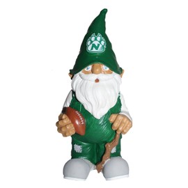 Northwest FOCO NCAA Missouri State Team Gnome