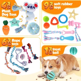 Aitmexcn 20 Pcs Puppy Toys for Small Dogs, Puppy Teething and Chew Toy Set with Squeaky Plush Toys, Treat Ball, Rubber Teething Rings and Rope Toys