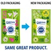 Chrysal Flower Food -100 Packets