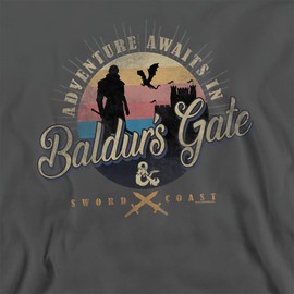 Popfunk Dungeons and Dragons Adventure Awaits Unisex Adult Crewneck Sweatshirt (Small) Charcoal