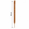 Moss Pole for Climbing Indoor Plants – Plant Fiber Support