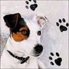 Ambiente Lunch Napkin 33 x 33 cm Jack Russell Jack