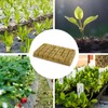 XCRPRT Rockwool Cube, Rock Wool Set, Rock Wool Growing Propagation