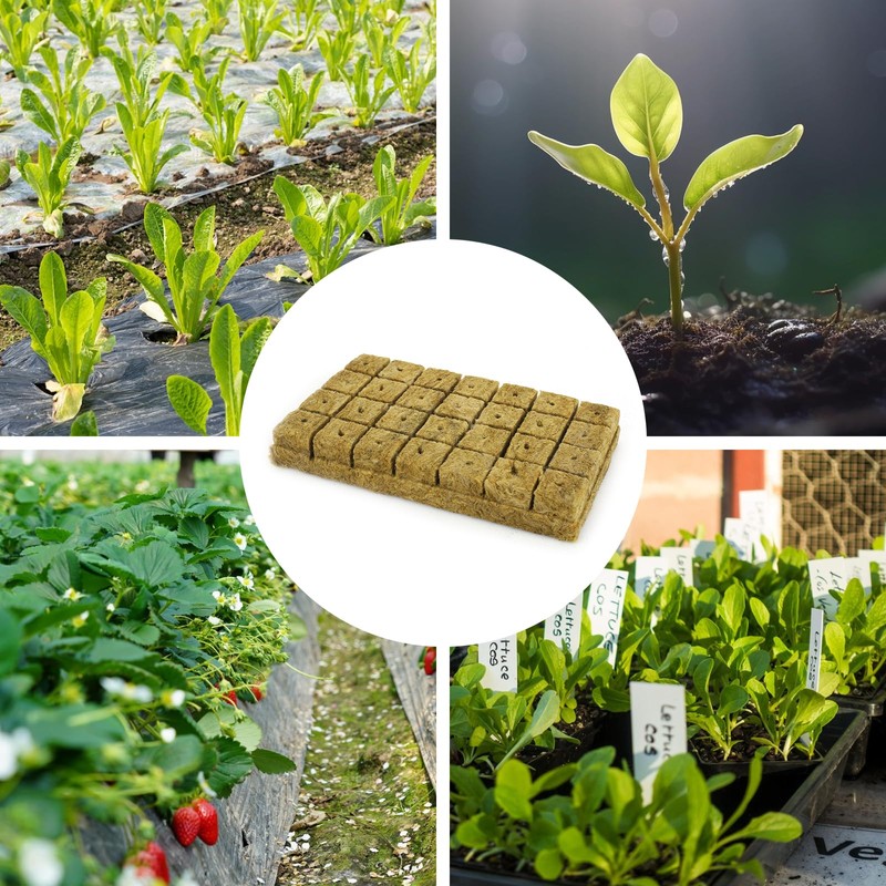 XCRPRT Rockwool Cube, Rock Wool Set, Rock Wool Growing Propagation