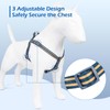 Tiffpaws Stripe Step in Harness for Small Dogs, Freedom No