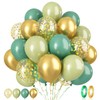 Paready Sage Green Gold Balloons, 60 Pcs 12 Inch Retro