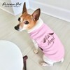 Parisian Pet Dog Tshirt - Embroidered “ Lil Angel “