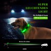 Light Collar Dog (Green, S)