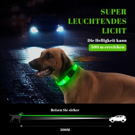 Light Collar Dog (Green, S)