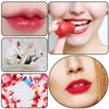 6 Stück Lippenbürste Doppelseite Silikon Peeling Lippenpinsel Lippen Peeling Bürste