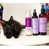 Alnut Shampoo para Perros y Cachorros - Sin Sulfatos ni