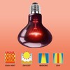 HARTOMPET 100W UVA Infrared Heat Lamp Bulb – High-Performance Red