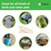 A&E Cage Company Captain Cuttlebone 5" Flavored Cuttlebone for Birds