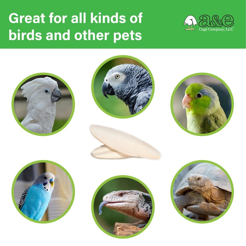 A&E Cage Company Captain Cuttlebone 5" Flavored Cuttlebone for Birds