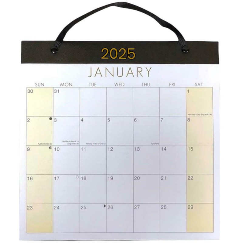 2025 MEDIUM MONTH TO VIEW PLANNER QUALITY CALENDER WALL HANGING