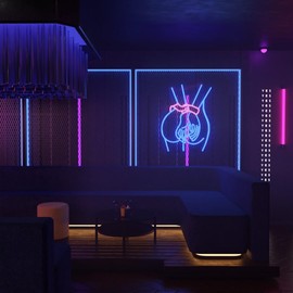 Lady Neon Signs, Lady Back Neon Light Up Sign, Girl Women Body Neon Sign for Wall Decor, Dimmable Blue Pink LED Light Sign for Bedroom Bar Man Cave Game Room Party Decor, USB Powered