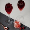 AIOS Unbreakable Tritan BPA Free Prosecco Flute/Champagne Flute 165ml (Set