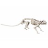 Boland 72155 Rat Skeleton, 35 cm