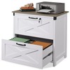 DEVAISE 2 Drawer Farmhouse File Cabinet with Lock, Lateral Filing